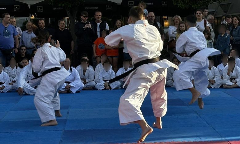 Επίδειξη ΣΟΤΟΚΑΝ ΚΑΡΑΤΕ (SHOTOKAN) στην πλατεία Κοραή - PortoNews